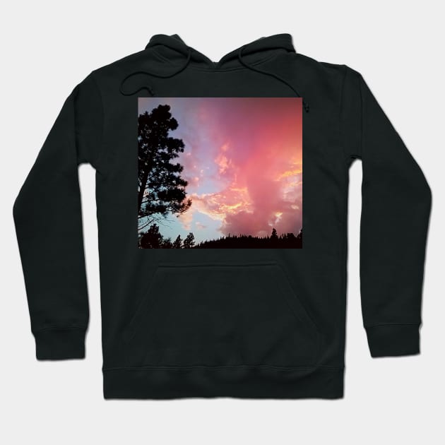 Cotton Candy Sunset, British Columbia, Canada Hoodie by GenAumonier